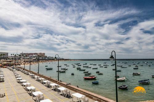 Apartamento Estudio Palma - Wifi - Petfriendly - Ecofriendly