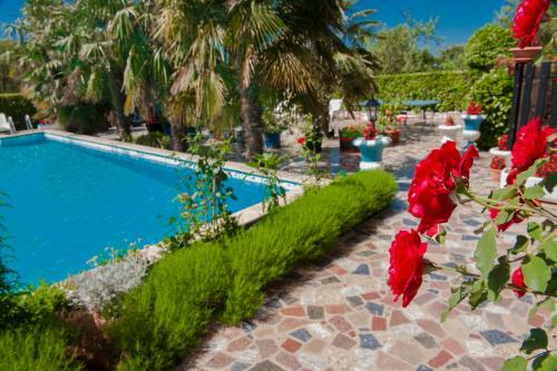 Apartments Paradis