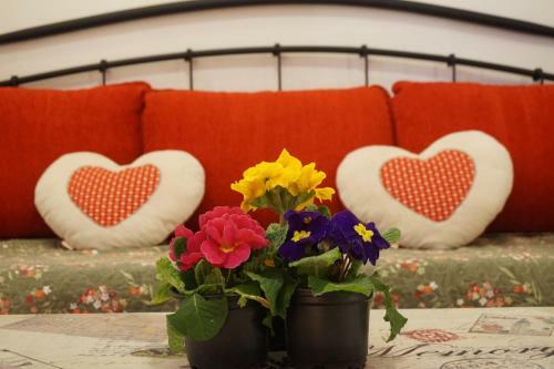 Apartments Suncani