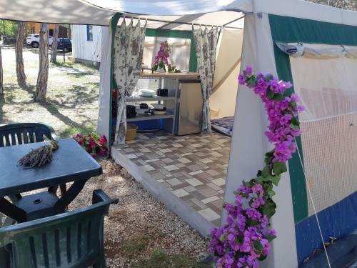 Camping Planik