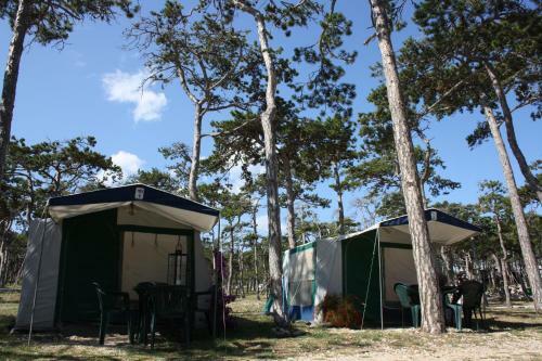 Camping Planik