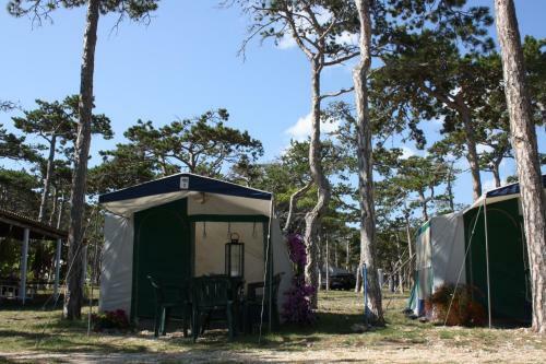 Camping Planik