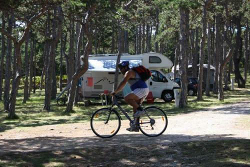 Camping Planik