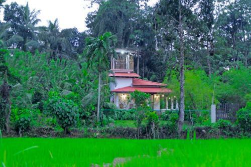 Sane Villa