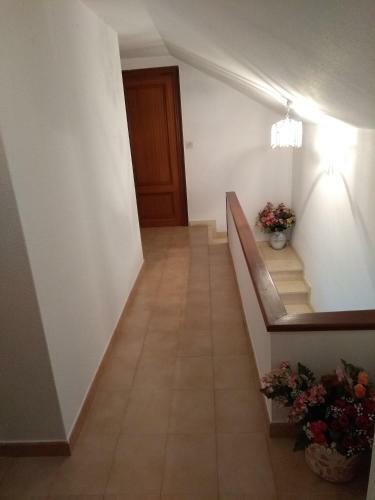 Casa Rosita