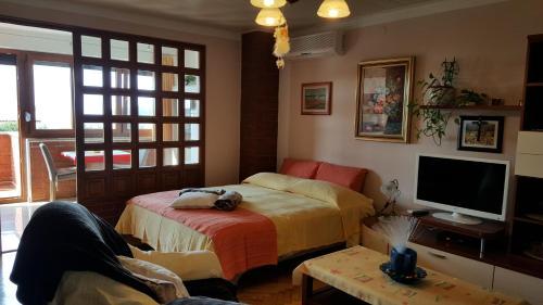 Apartments Palma