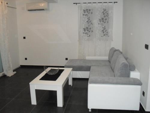 Apartments Govic