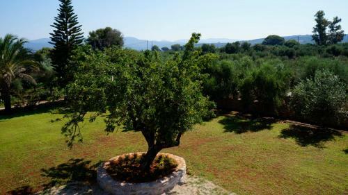 Apartamento Sani Kasimis