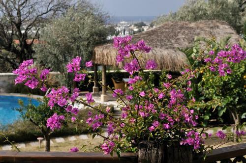 Sandima 37 Hotel Bodrum