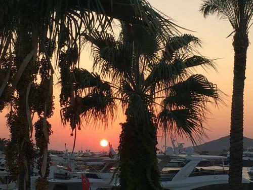 Sandima 37 Hotel Bodrum