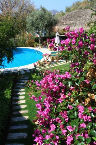 Sandima 37 Hotel Bodrum