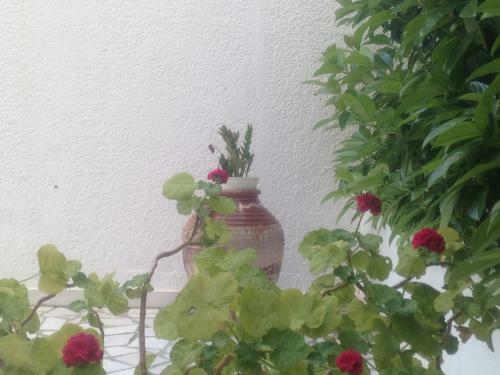 Apartamento Blue Roses