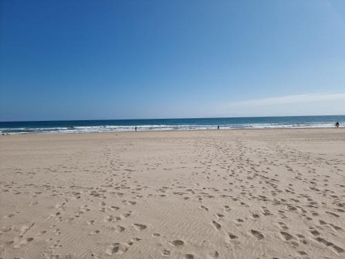Apartamento Torre Edinso (1� Linea Playa Muchavista)