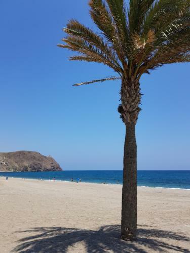 Apartamento Vistas Espectaculares Al Mar