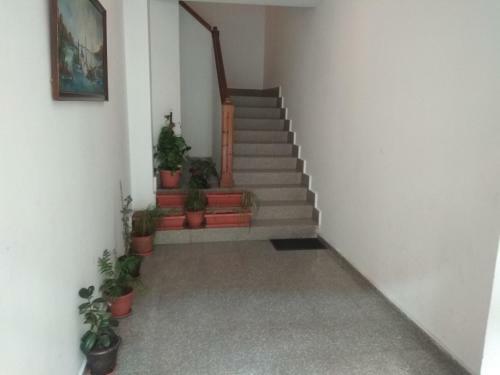 Apartamentos Caperos 1� Dcha