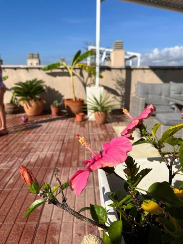 Apartamento La Azotea