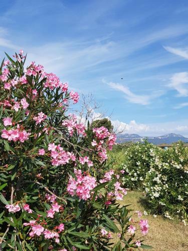 Bed & Breakfast M�diterran�e Room Villa Blanca Cambrils