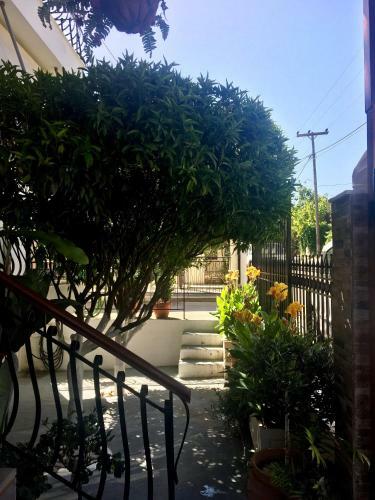 Makis Studios & Apartments