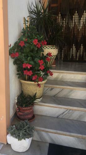 Makis Studios & Apartments
