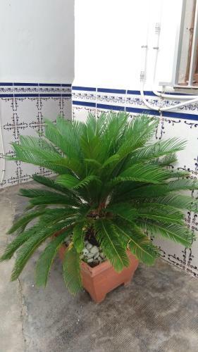 Hostal Pens�on Lucia