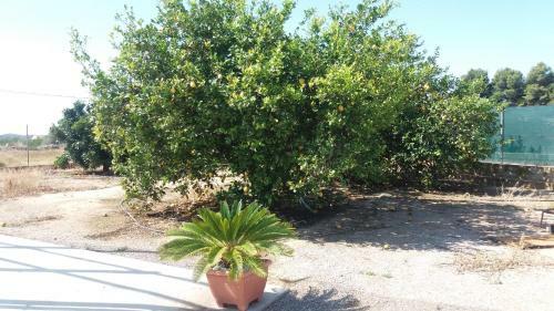 Hostal Pens�on Lucia
