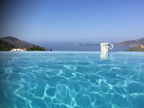 Villa Valo