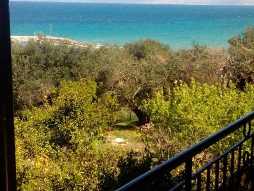 Apartamentos Villa Maria