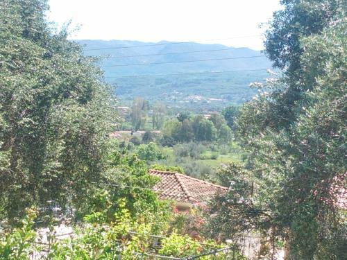 Apartamentos Villa Maria