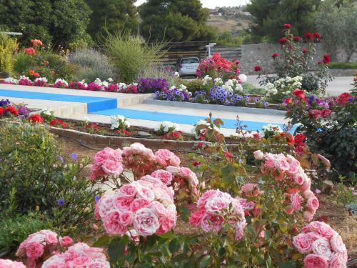 Hostal Blue Beach