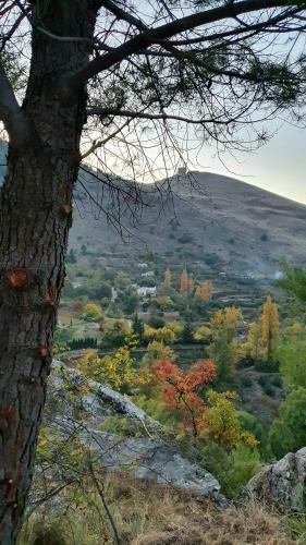 Alojamiento Rural Fuente de La Glorieta