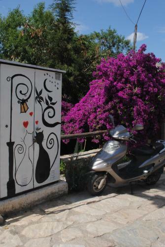 Hotel Eski Datca Evleri