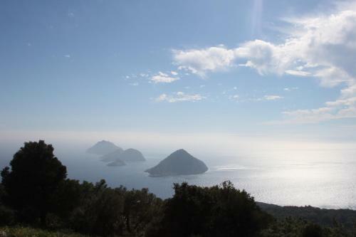 Hostal Simurg Evleri Olympos