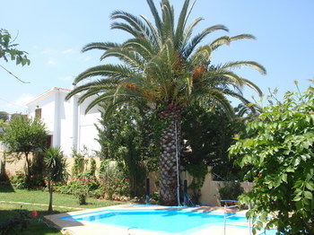 Apartamento Alexandros Studios