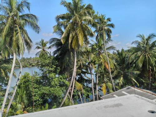 Bed & Breakfast Golden Villa
