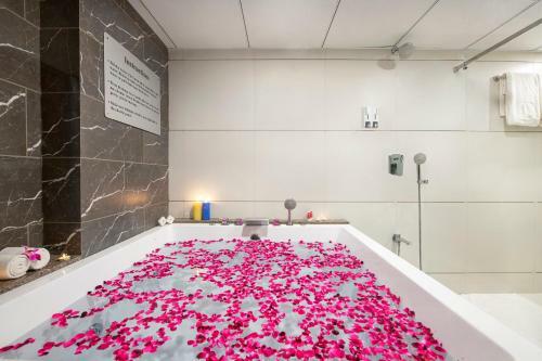 Hotel Sk Lords Eco Inn Ahmedabad