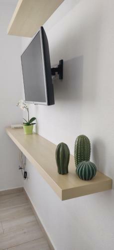 Apartamento Kotik� 18
