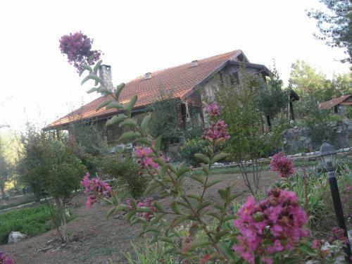 Hotel Dikencik Cottages
