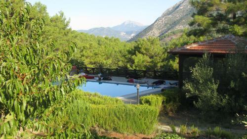 Hotel Dikencik Cottages
