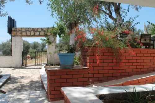Hostal Lizo Hotel