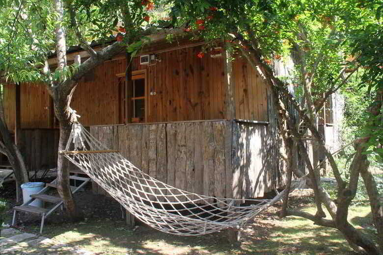 Turkmen Tree Houses