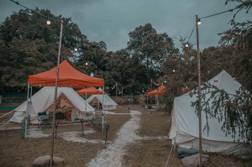 Kampung Glamping