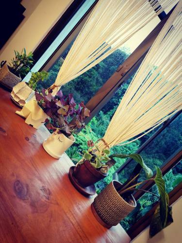 Oriental Tropics Private Forest View
