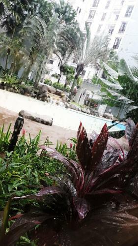 Oriental Tropics Private Forest View