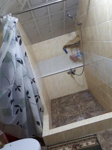 Hostal Traveller
