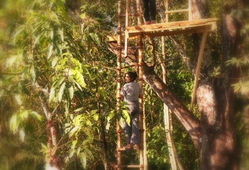 Kandy Nature Resort