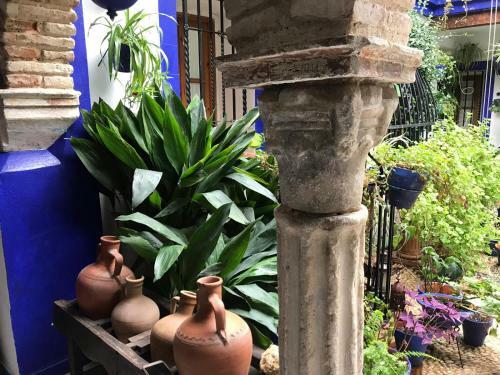Apartamento Alojamiento Casa T�pica de C�rdoba