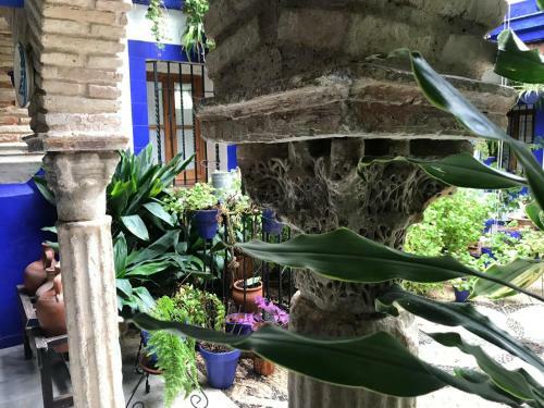 Apartamento Alojamiento Casa T�pica de C�rdoba