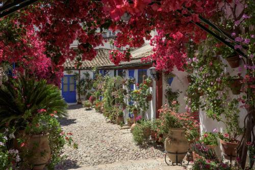 Apartamento Casa Luz Cordoba