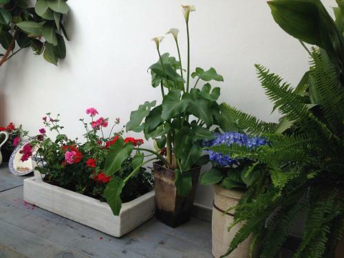 Apartamento Patio San Lorenzo