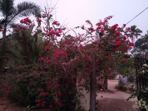 Marari Mj's Home